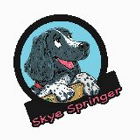 Skye (@skyethespringer) 's Twitter Profile Photo Skye (@skyethespringer) 's Twitter Profile Photo
