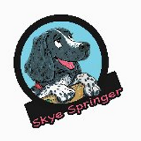 Skye(@skyethespringer) 's Twitter Profile Photo