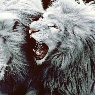 Alexandra123Lau's profile picture. 