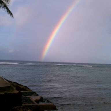 JoieDeVivre____'s profile picture. Photographer ,Writer,  Artist
A smile will become contagious for miles, share yours today!
Sharing my tweets