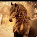 عبدالله العسيري (@0551368232) Twitter
