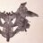 Pato_Zeta's profile image