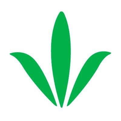 @BandVBermuda