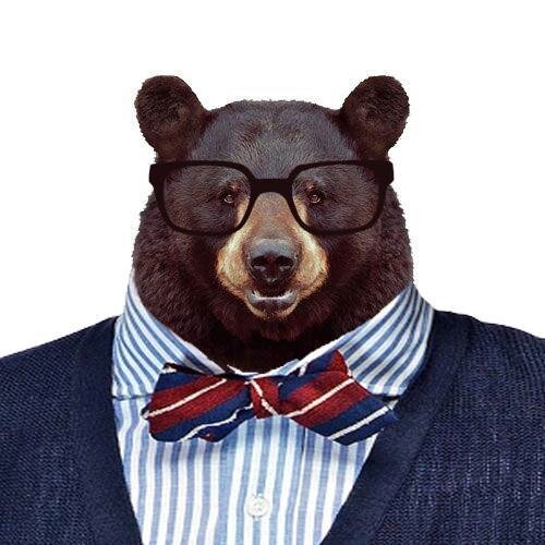 Robo_Tas's profile picture. 