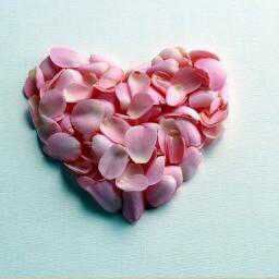 theresamoore499's profile picture. 