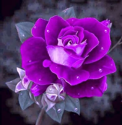 im blessed loving nature and spiritual person and a believer in god almighty the creator bless u all amen the X