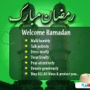 Farah Anwar  - @shafaran1 - Twitter