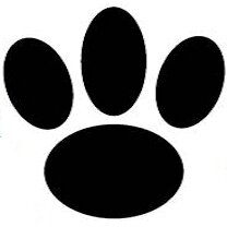 pawssittingllc's profile picture. PAWS provides premium in-home sitting services specifically tailored to your pets needs.