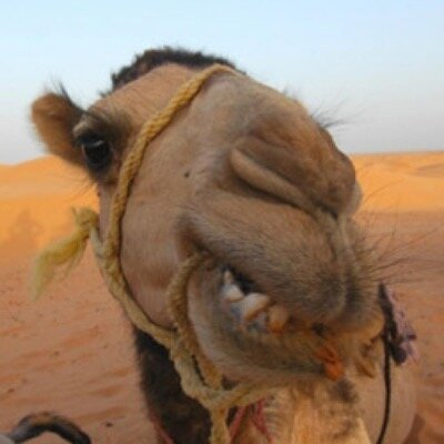 #Bitcoin ($BTC) : 1C16NFR1HdYAZfJ2NYFaVLFqNj2WEYZWyC
#Ethereum ($ETH) : 0xd6d5f7c095768984303077e36505b75e8e2795b2
