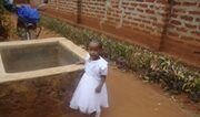 Sustainable development professional.