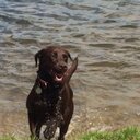 Jessie Lock - @jessiedog29 - Twitter