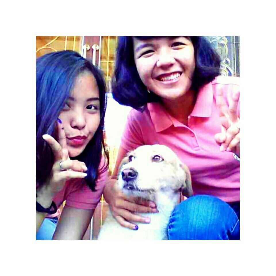 clarapinia's profile picture. I'm not perfect. I lot a mistake. I ♥ my family, my dog. I wanna to be a good doctor/pilot. I have a big dream