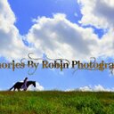 robin kralovetz - @RobinKralovetz - Twitter