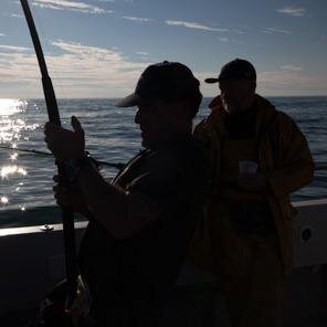 Wild_Bass_TV's profile picture. Welcome to Wild Bass. With news, videos and articles on fishing and seafood from the South West.
Any views expressed through social media are entirely my own.