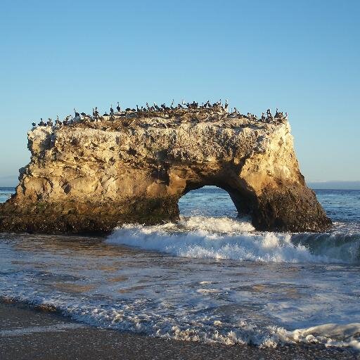 SantaCruzEvnts's profile picture. We're all about events. Join our campaign to #FindMoreDoMore.