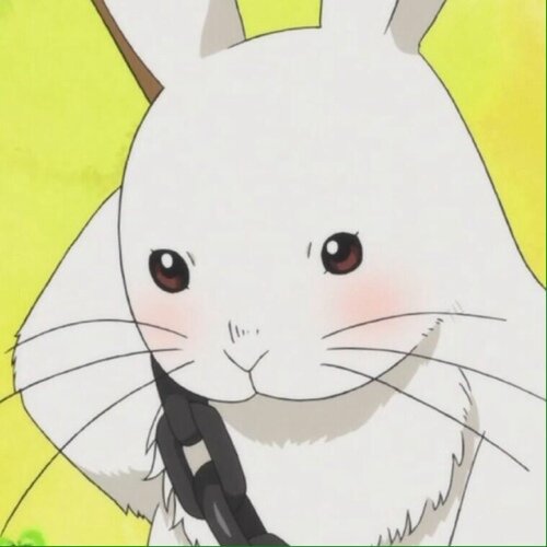 あかうささんのプロフィール画像