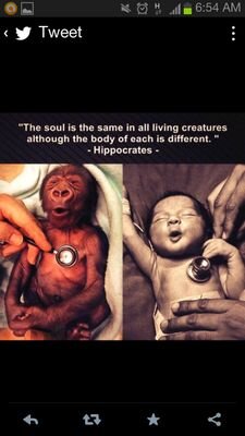 ipse se nihil scire id unum sciat-Solo se que no se nada-Soul full of love & eager to learn-seeking*loving*stumbling*wandering*learning 👁️