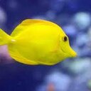 Rosa Priego Bueno - @roxaja1 - Twitter