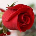 nadia ammar - @nadiaammar4 - Twitter