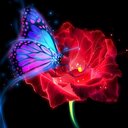 jade tharp - @JadeJerry - Twitter