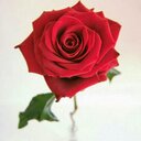 Lauri Young - @lauri_13_young - Twitter