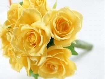 Nurul_Solikah's profile picture. Setiap inci tanah di atas muka bumi ini adalah tempat yang subur untuk menanam benih surga...