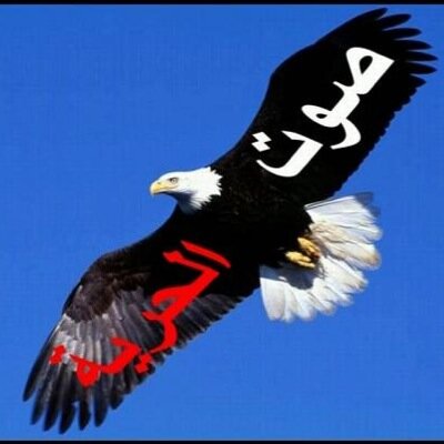 تبدأ الحرية حيث ينتهي الجهل 
فإن الله مع مظلومين