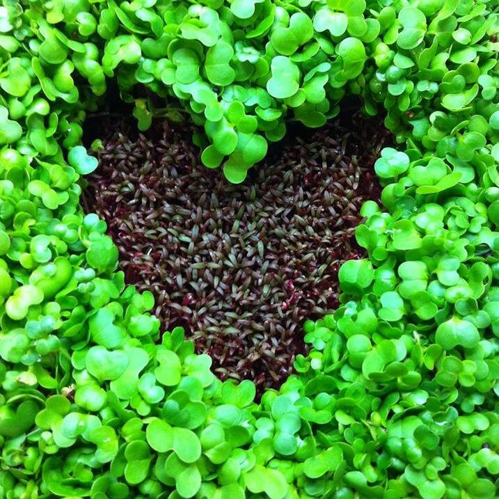 Progressive Farms Profile