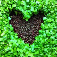 Progressive Farms (@farmprogress) 's Twitter Profile