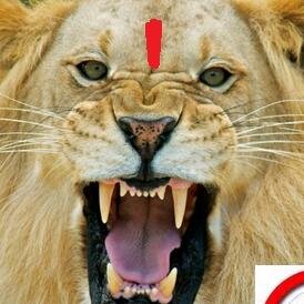 SEOMGuru's profile picture. 