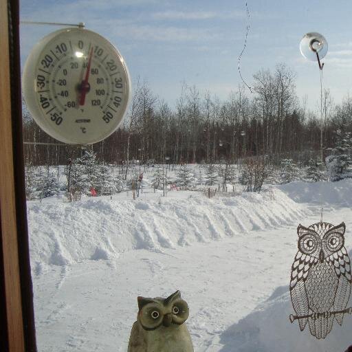 ChristiOmi's profile picture. Curious, helpful and creative!