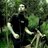 WilheimMachorro's profile image
