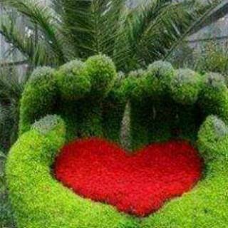 Sunday_47598's profile picture. 