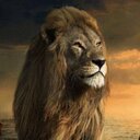 alfredo bocanegra - @Bok_Alfredo - Twitter