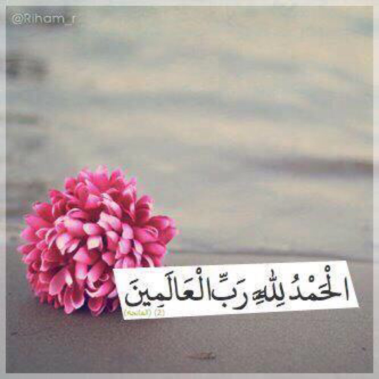 احببت ان اسعدها فجعلت هذا الحساب صدقه جاريه لها..♡♡ ربي اوصيك بها خيرا وانت خير من اوصى ياررب وفقها في حياتها وارزقها سعاده لا نهايه لها ♡♡