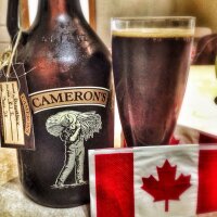 Alex Laffrenier (@alaffrenier) 's Twitter Profile