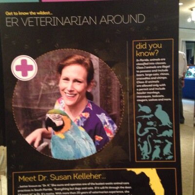 Dr. Susan Kelleher