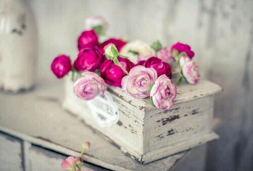 paper lover ~ vintage girl ~ journal note book maker ( ^_^ )♡..