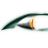 Adobe Connect, Adobe Media Server, Wowza Media Server, Varnish Plus Training & Development