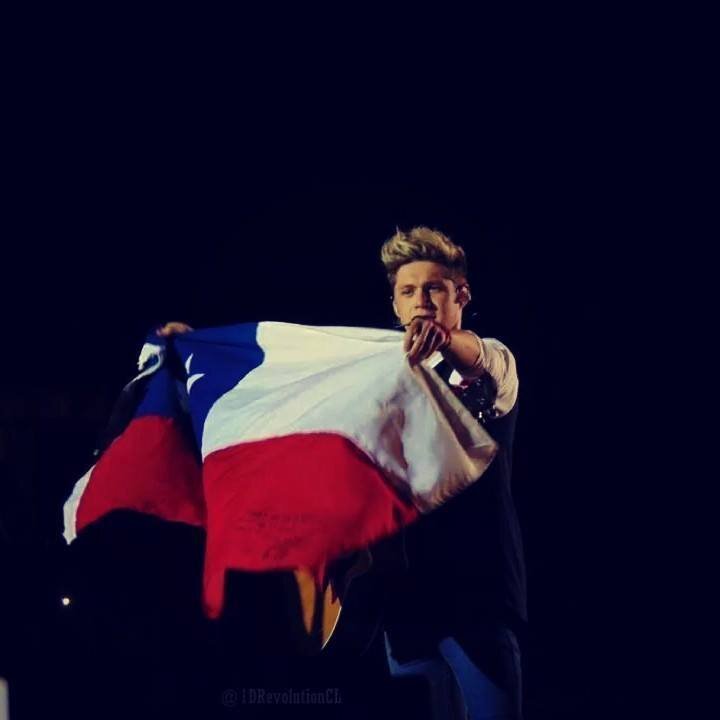 Directioner - One Direction - Mixer - Little Mix - Niall, Harry, Zayn, Liam, Louis.