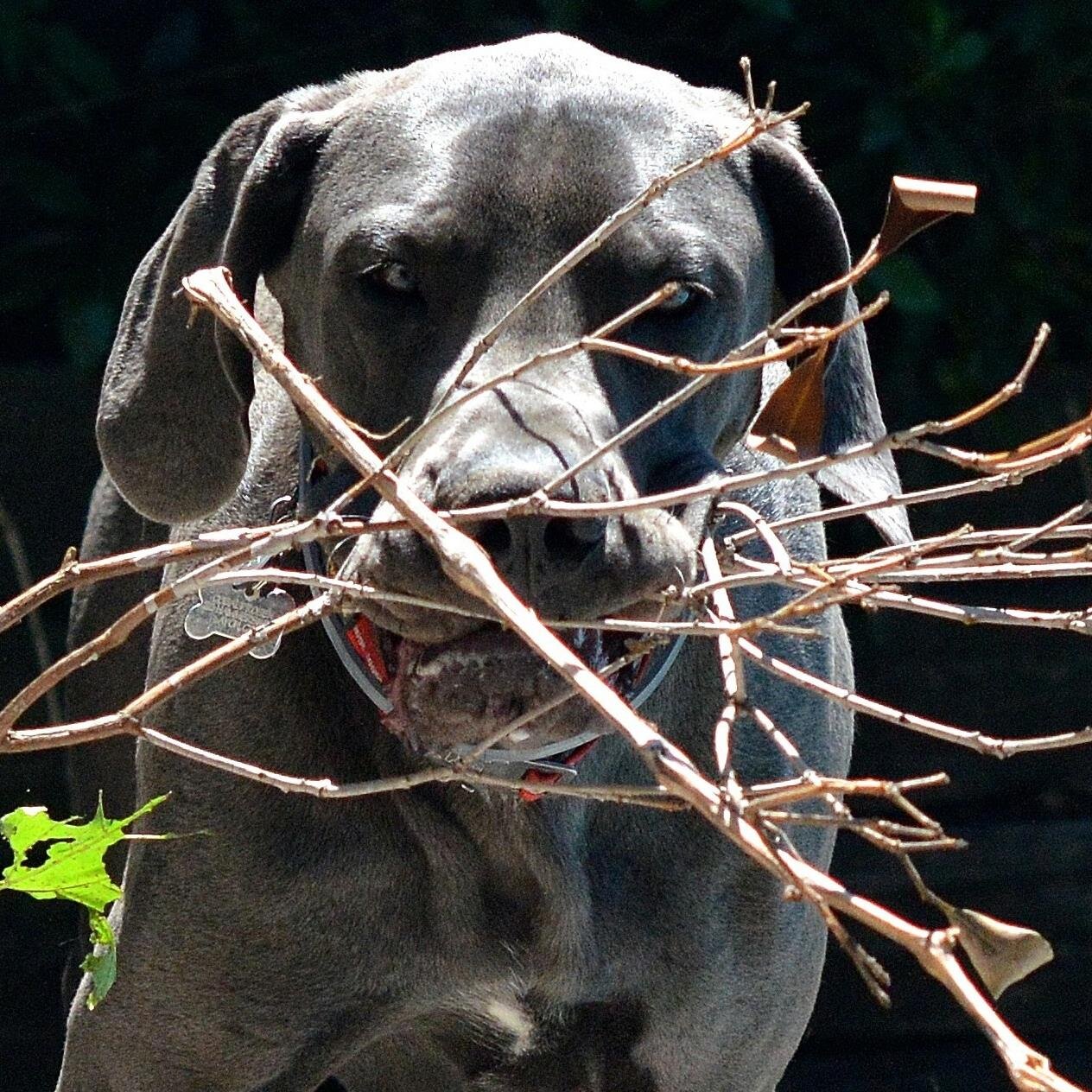 Larry1260's profile picture. 