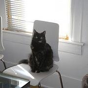 CJalomo's profile picture. 