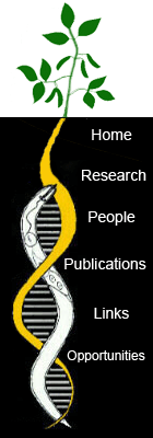 baum_lab's profile picture. Research in the Baum lab focuses on the compatible interaction between cyst nematodes and their hosts.