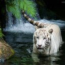 Sergio Poma  - @serpoly - Twitter