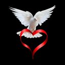 ابو خليل (@57c65300203f4ca) Twitter