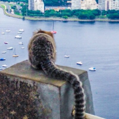 L'importance c'est pas la chute, c'est l'atterrissage (la Haine). Naturalmente questa frase serve solo a darmi delle arie