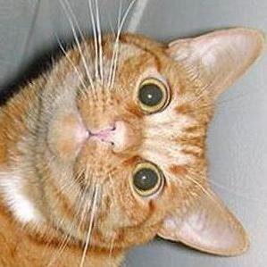 I tweet some of the funniest stuff. If your in for some laughter just follow me, I promise you won't be disappointed.