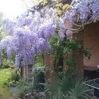 Maria Teresa - (@labrionese48) 's Twitter Profile