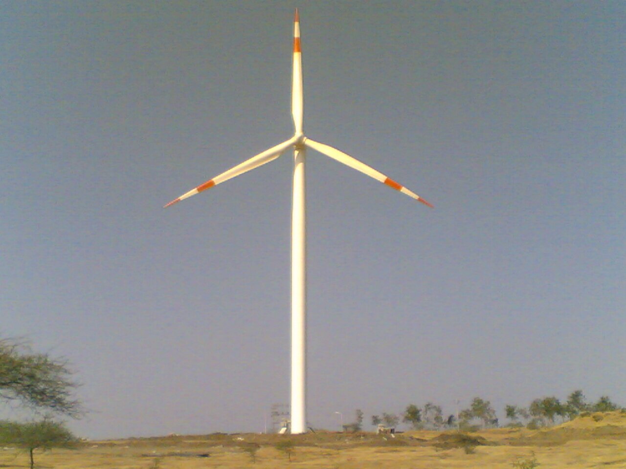 govt service