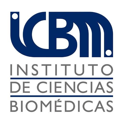 El ICBM desarrolla sinérgicamente investigación y formación en biomedicina para contribuir al conocimiento y responder a los desafíos de salud de la población.